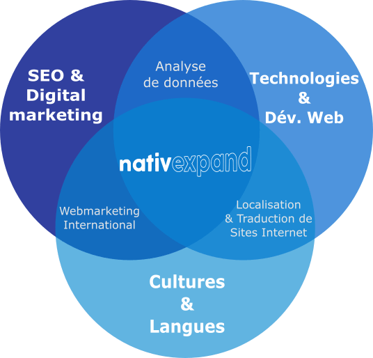 Langues + Données + Digital Marketing