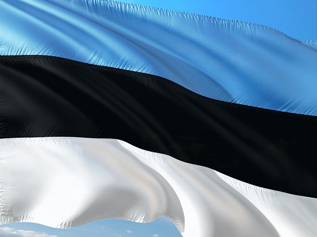 Export to Estonia and international business opportunities in the Estonian market