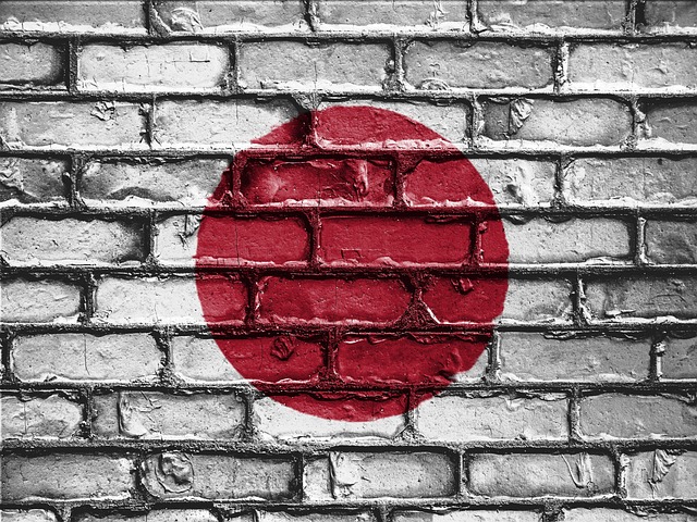 Export to Japan and international business opportunities in the Japanese market