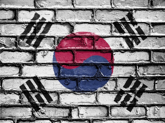 Export to South Korea and international business opportunities in the South Korean market