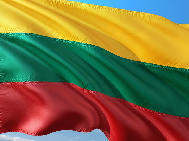 Export to Lithuania and international business opportunities in the Lithuanian market