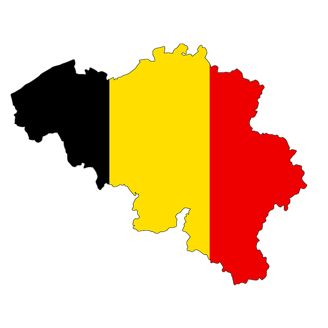 SEO Belgique