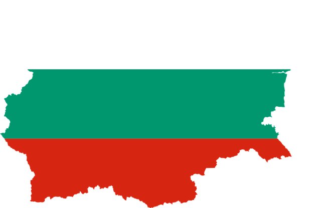 SEO Bulgarie