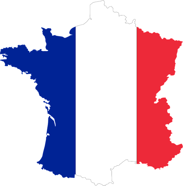 SEO France