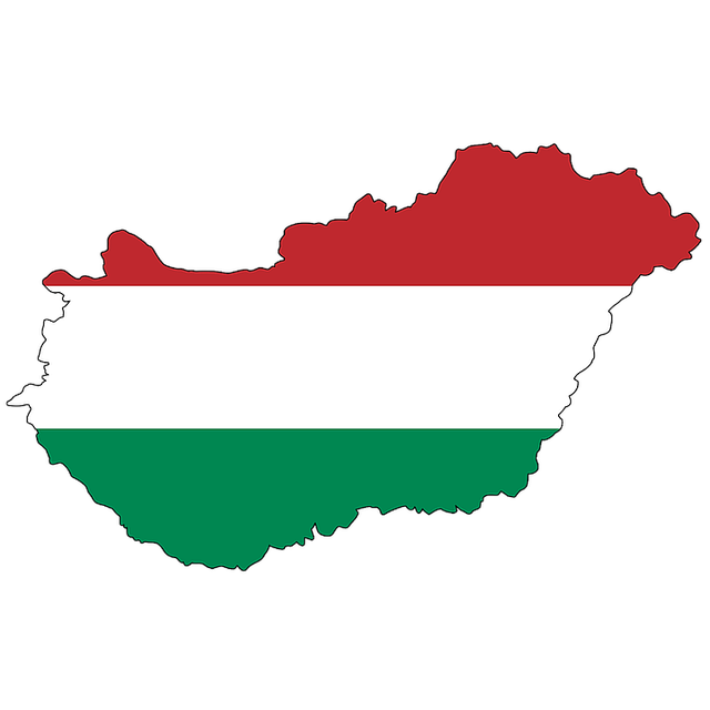 SEO Hungary