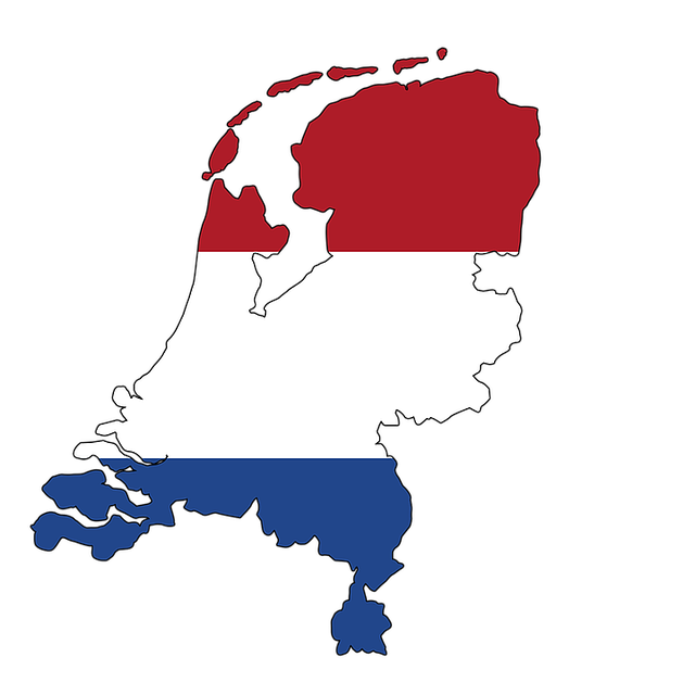 SEO Pays-Bas