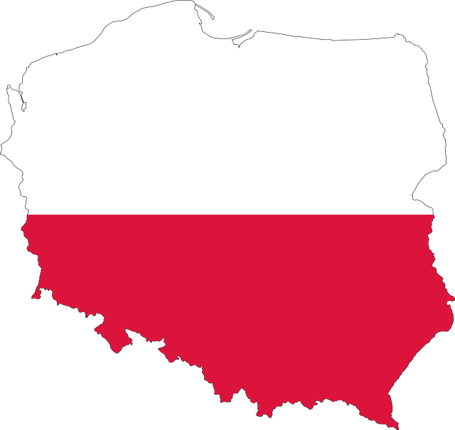 Stratégie de référencement Pologne