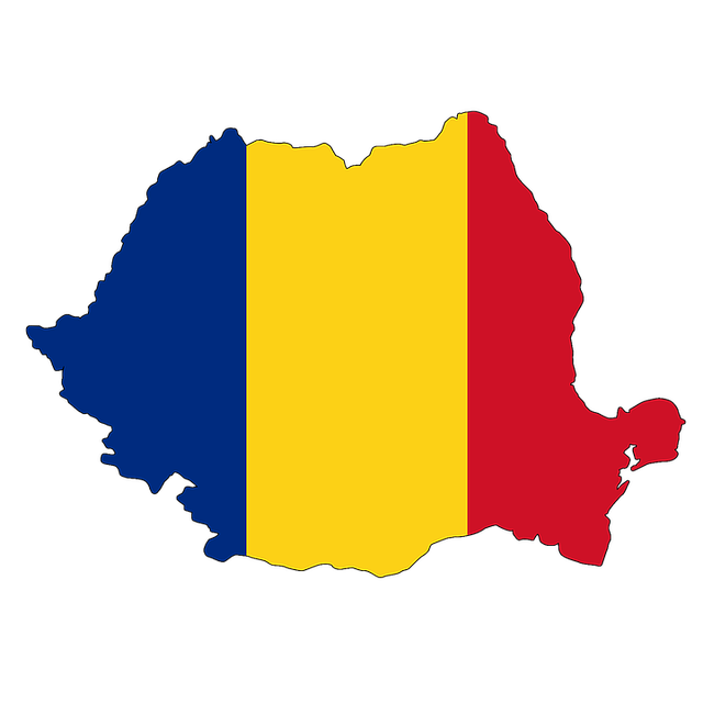 SEO Roumanie