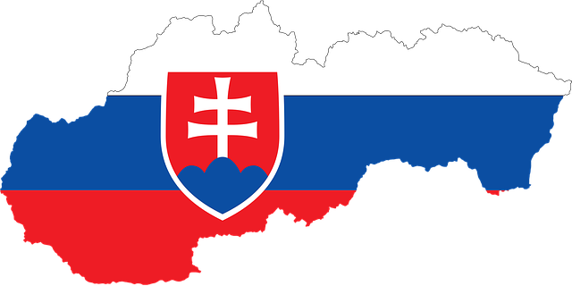 SEO Slovaquie