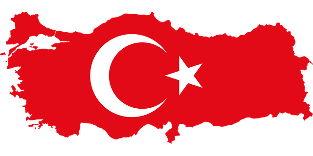 SEO Turkey