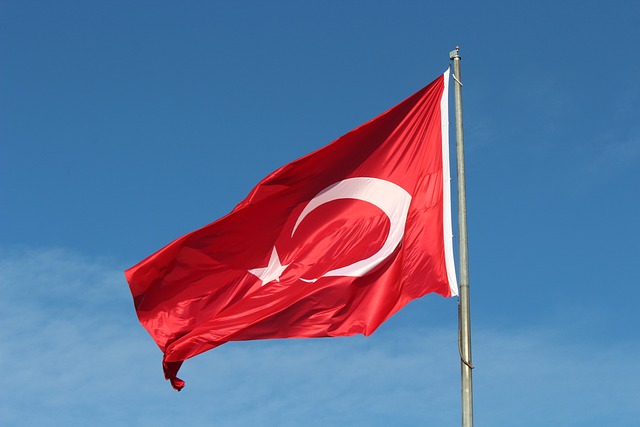 SEO Turquie: Référencement en turc