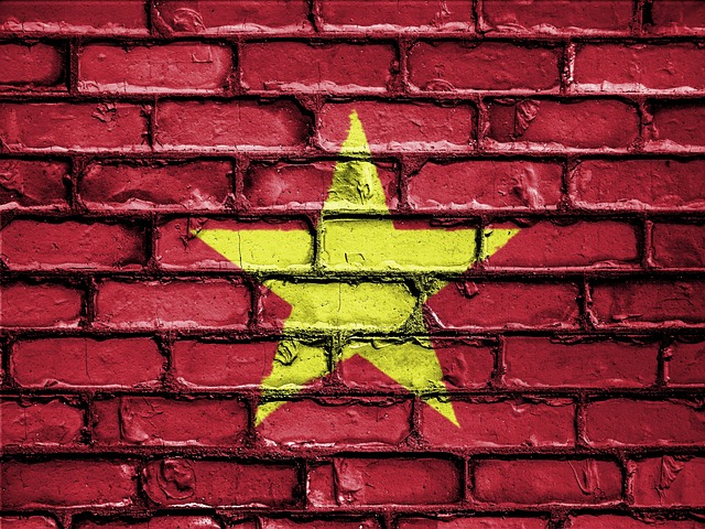 Export to Vietnam and international business opportunities in the Vietnamese market